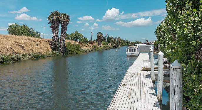 River Scene